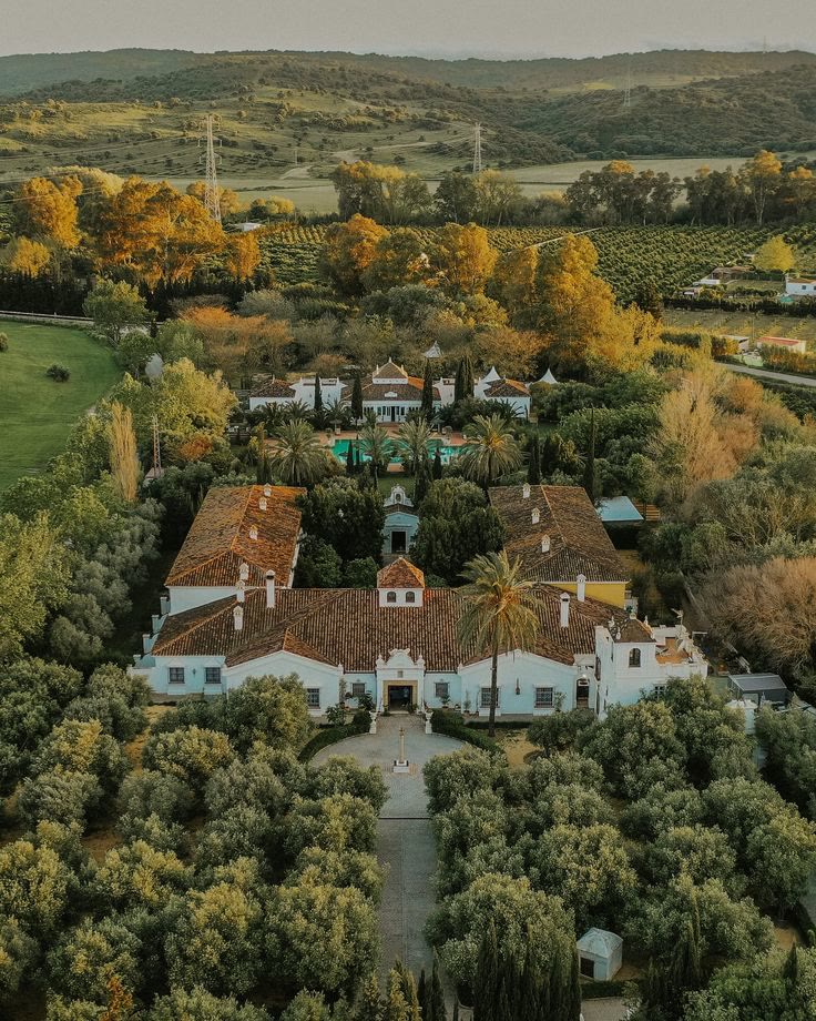 Finca con casa señorial y olivares